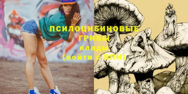 дживик Гатчина