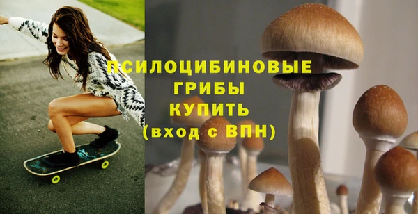 тгк Зеленокумск