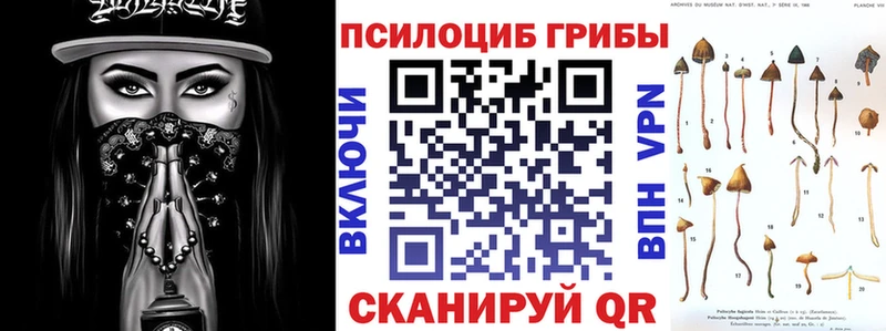 Псилоцибиновые грибы Psilocybe  продажа наркотиков  Ирбит 