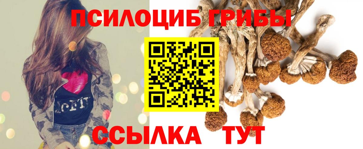 Псилоцибиновые грибы MAGIC MUSHROOMS Ирбит