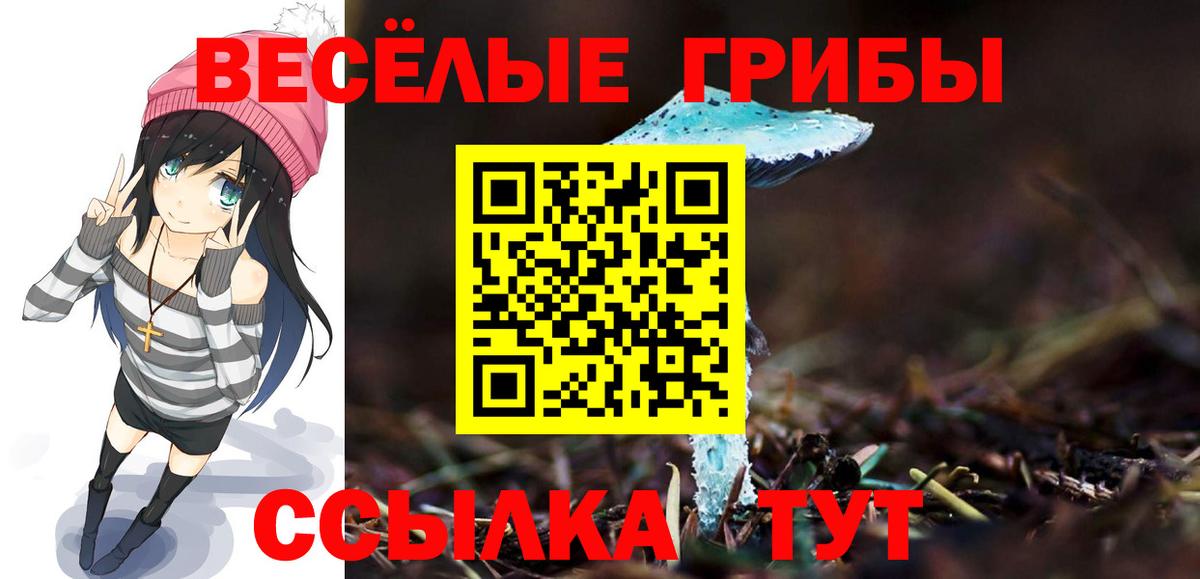 Псилоцибиновые грибы Magic Shrooms  Вход с VPN  где можно купить наркотик  Ирбит 